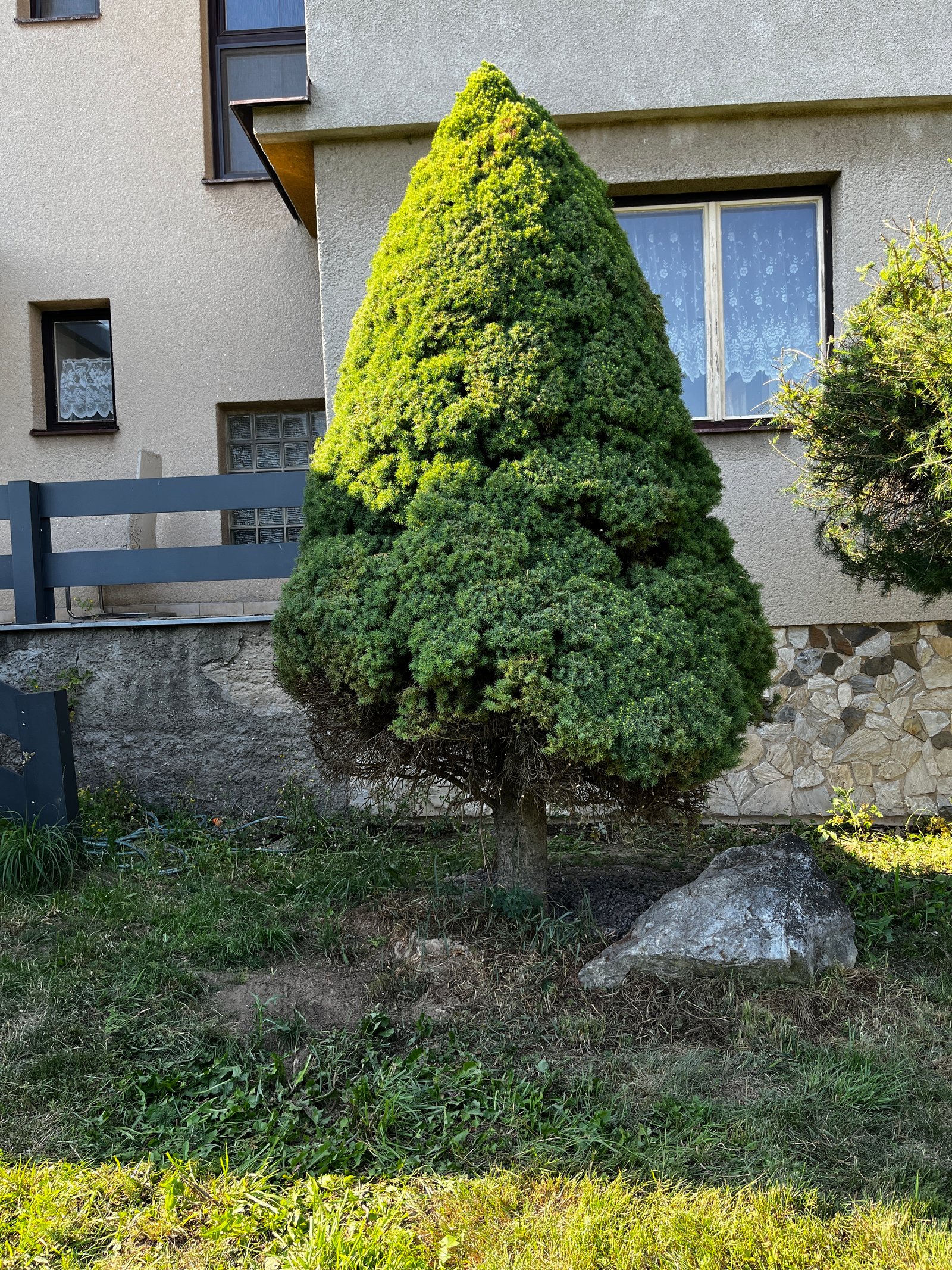 Ukázka realizace zahrady